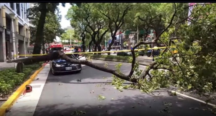 更新後車視角影片/北市中山區路樹倒塌 路過6旬騎士遭砸送醫死亡 79 311 19 | 社會 社會 記者爆料網