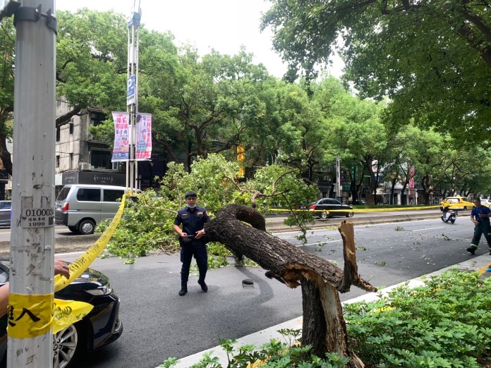 更新後車視角影片/北市中山區路樹倒塌 路過6旬騎士遭砸送醫死亡 81 313 11 | 社會 社會 記者爆料網