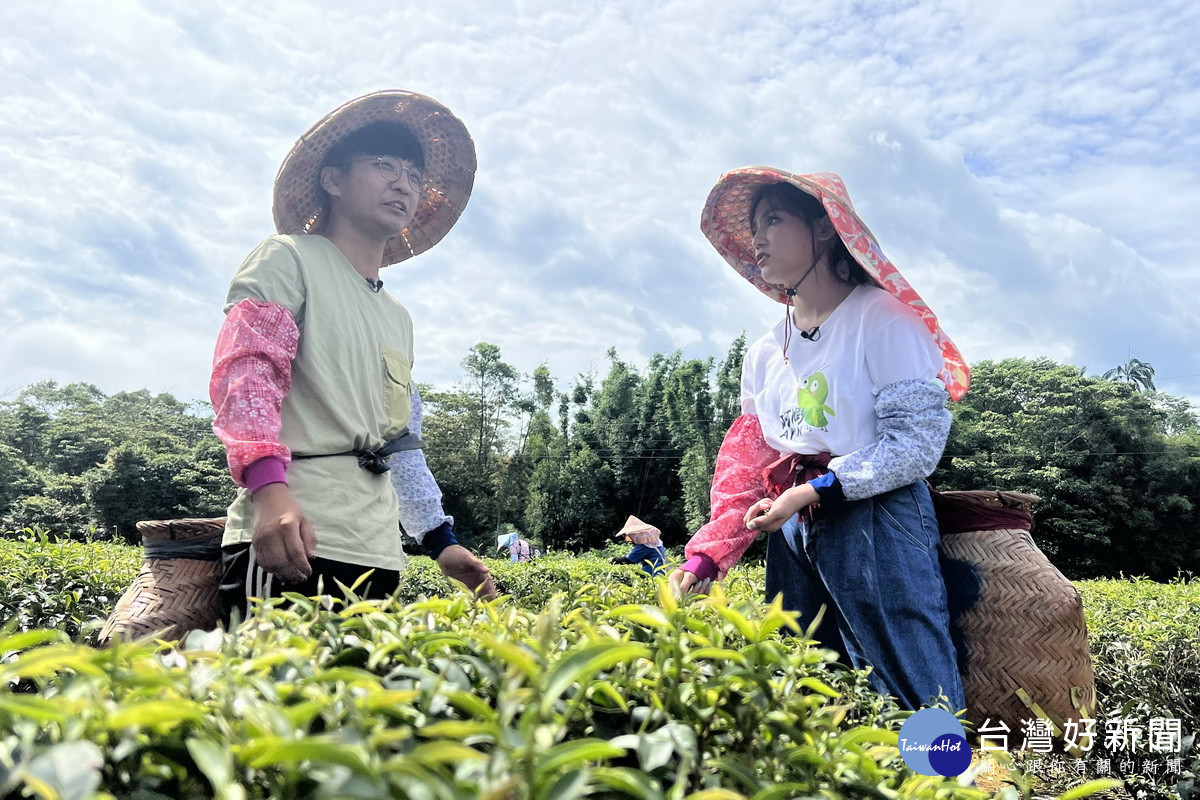 網路節目《趣桃Chill嗨嗨》直擊龍潭百萬好茶的生產基地,實際體驗製茶過程。