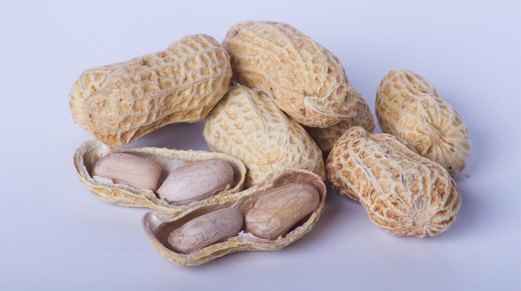 有機 豆 自然 健康 種子 好吃 棕色 質地 孤立 能源 幹 飲食 背景 生態 焦點 外殼 物體 營養 早餐 木 暗 堅果 烹飪 新鮮 吃 葡萄收穫期 廚房 健康 木 宏 組 特寫 簡單 食物 性質 小吃