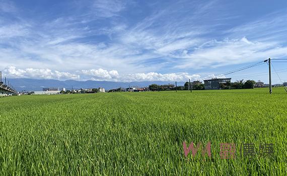戶籍被遷出喪失地價稅優惠 宜縣財稅局：這樣做可解套