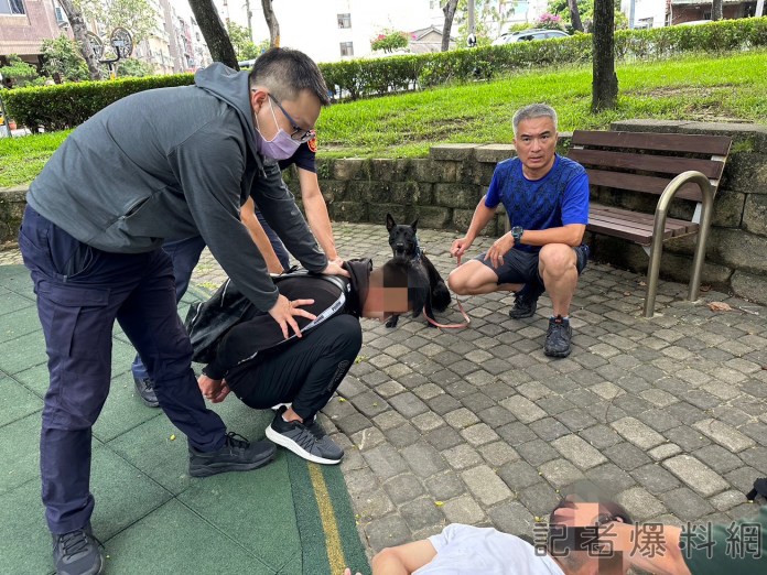 7旬翁遇投資詐騙警犬衝現場 面交車手被團團包圍跪地哀嚎求饒 68 ▲ LUCKY警犬衝現場 面交車手被團團包圍跪地哀嚎求饒。(畫面翻攝)