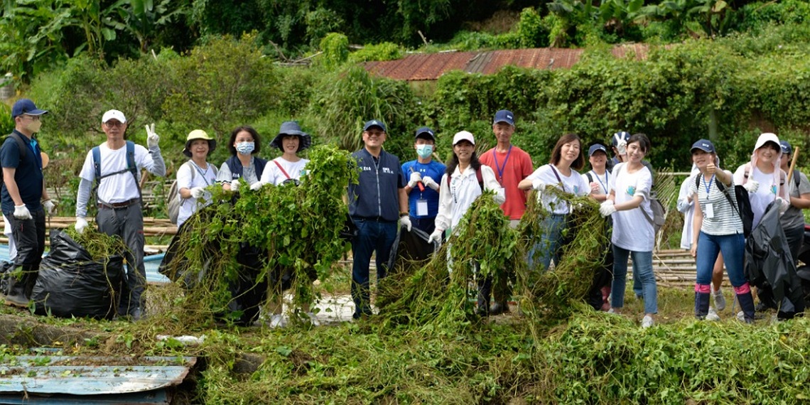 「除蔓新森活 共下來挷草」 新竹林業署號召剷除「綠癌」小花蔓澤蘭