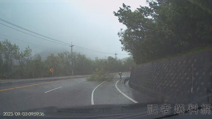 海葵颱風/花蓮強風豪雨災情+1 台11線路樹傾倒"員警冒雨排除" 53 花蓮 樹倒 台11線