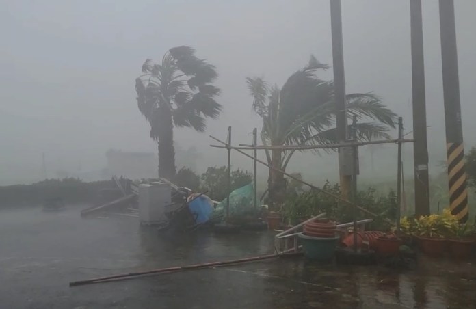 海葵颱風/(15級陣風畫面曝光)台東縣成功鎮颳15級強風 居民錄影直呼:「手都抖了、很怕餒!」 55 15級強風,樹木被吹得劇烈搖晃。民眾提供 | 社會 社會 記者爆料網