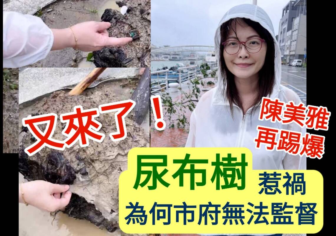 影/陳美雅質疑「尿布樹」惹禍為何無法改善 海葵颱風來襲哨船頭街路樹又倒成一整排/漾新聞
