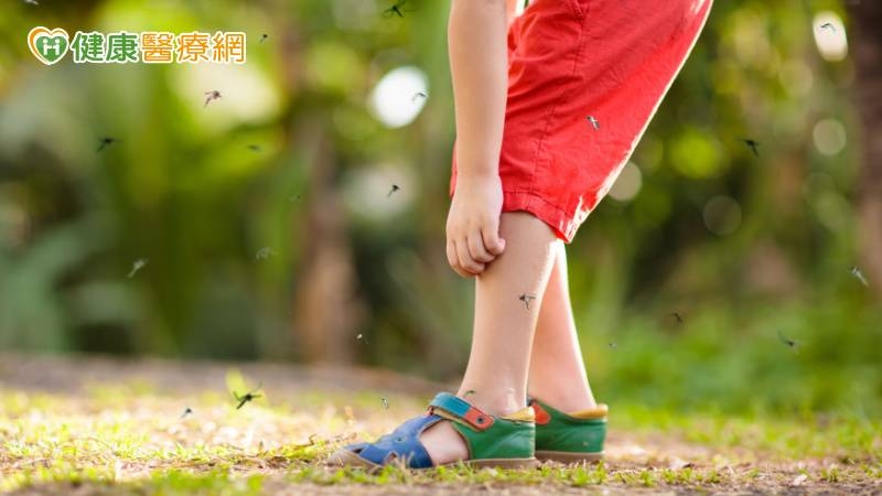 出國旅遊當心病媒蚊叮咬! 專家授「3大招」防範蟲媒威脅