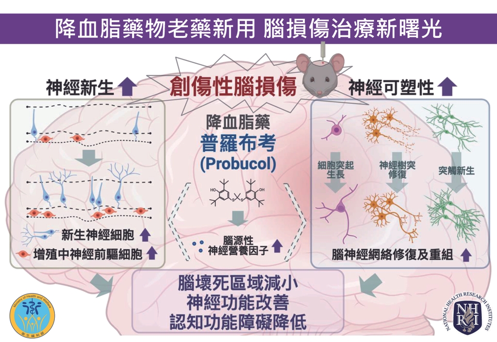 降血脂藥物老藥新用 腦損傷治療新曙光（圖：國衛院）