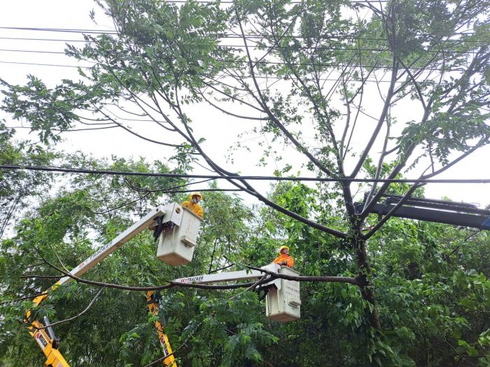 海葵颱風造成彰化2,000餘戶停電 台電:已全數復電