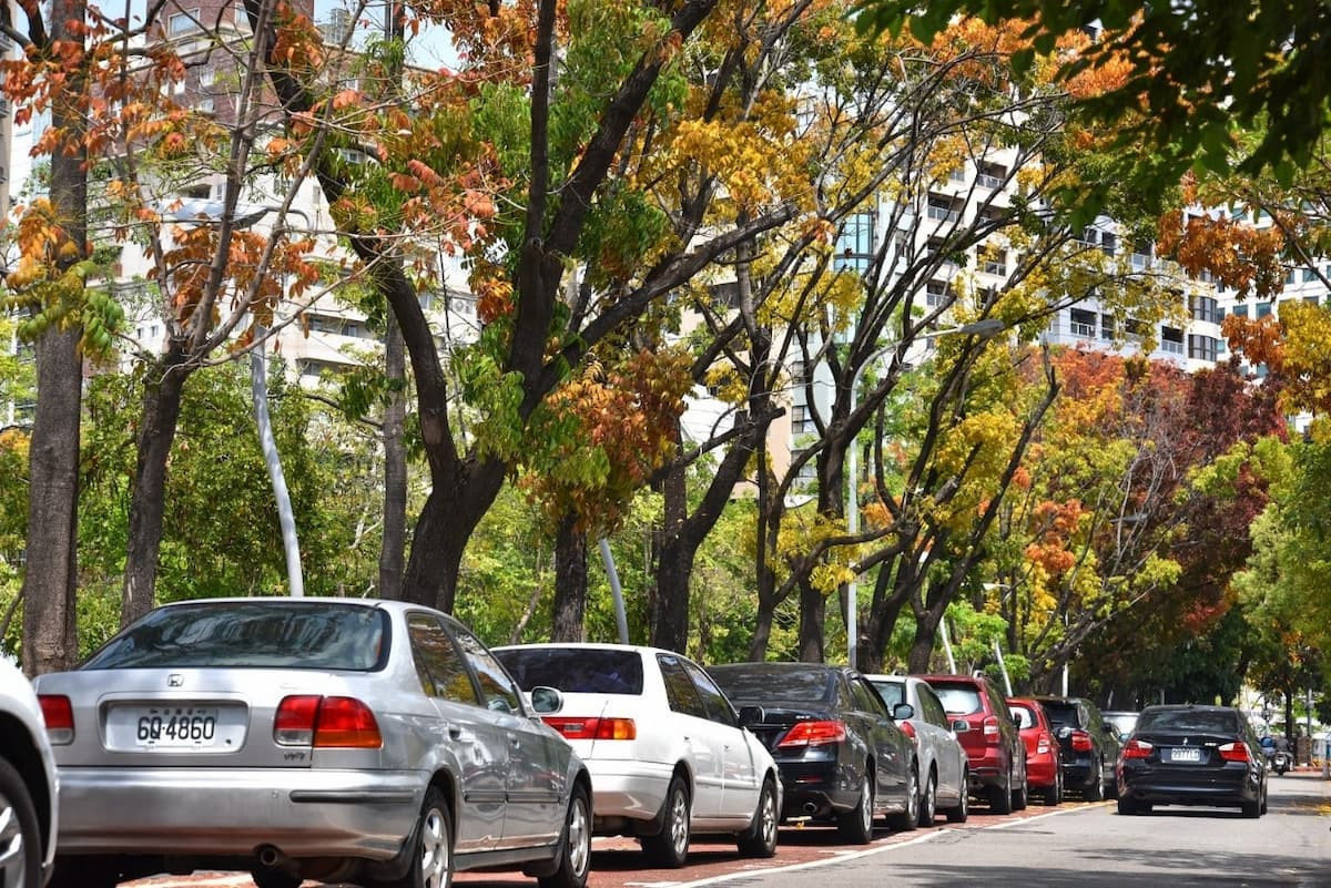 以台中國立科學博物館為起點,3.6公里綠帶一路延伸到勤美綠園道。