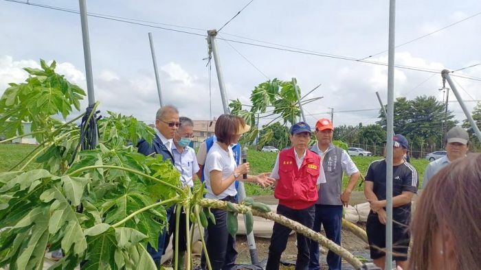 海葵颱風農作受災 立委邱議瑩與林欽榮勘災旗美地區農損