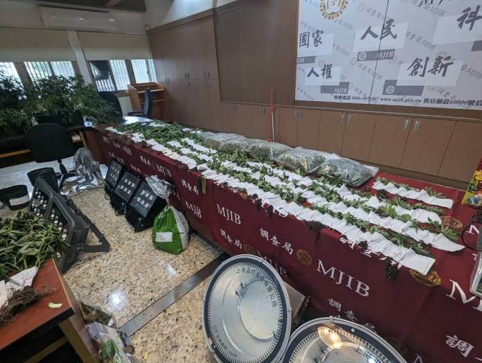 透天厝飄九層塔及夜來香味竟是大麻工廠 父子檔製毒成品可毒害50萬人! 68 | 社會 社會 記者爆料網