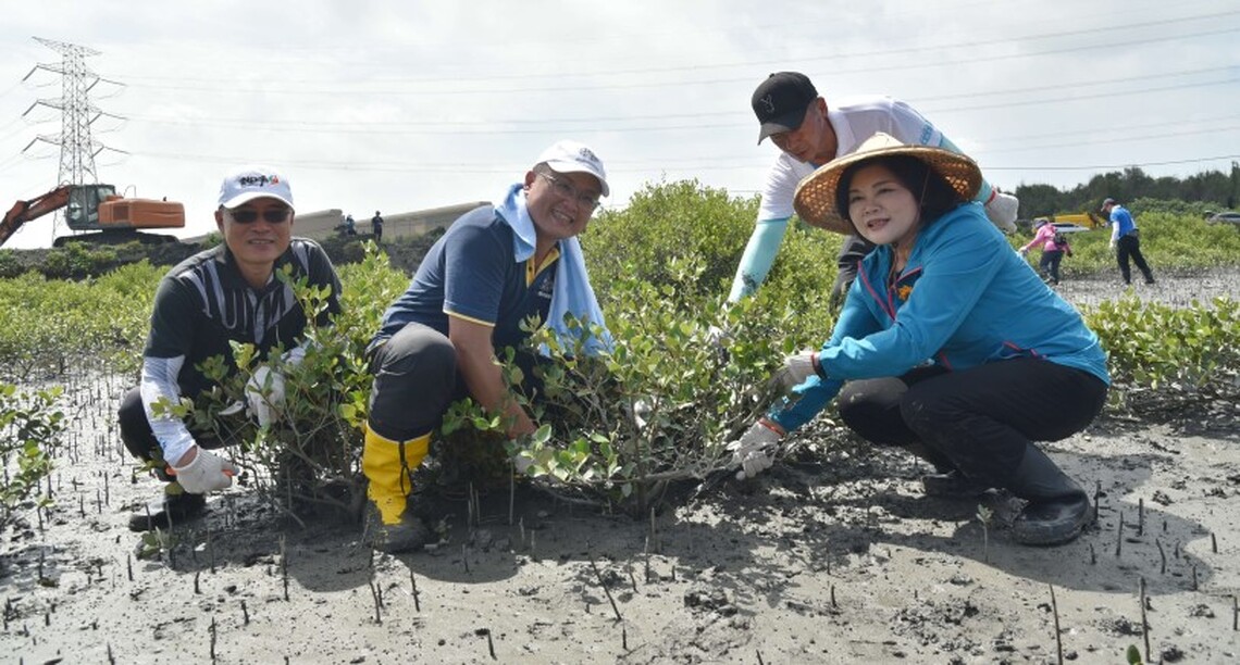 張麗善帶頭疏伐紅樹林 守護臺灣旱招潮蟹生態棲地