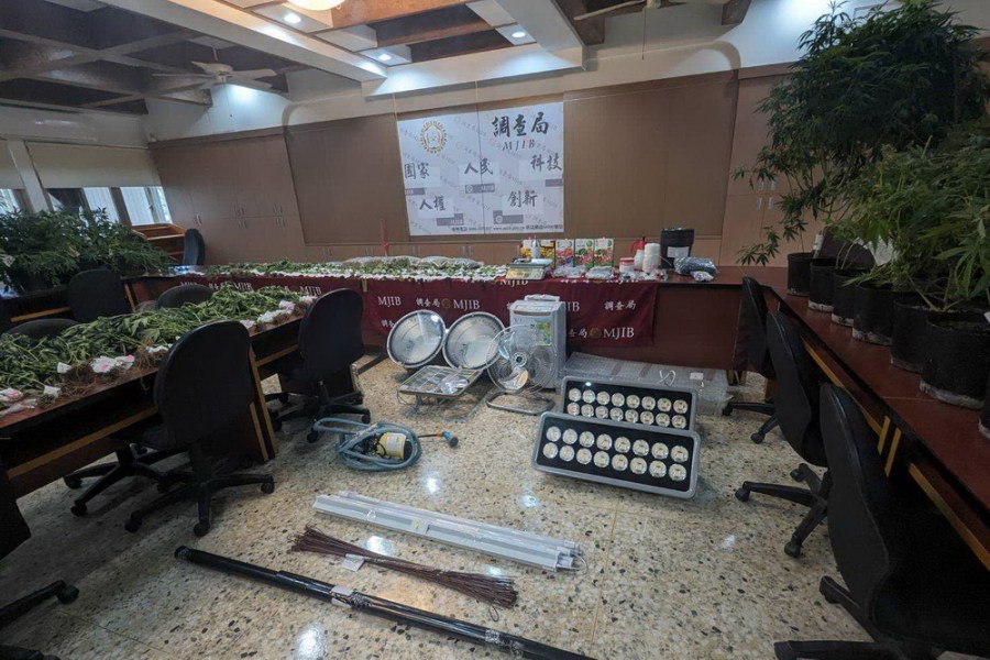 父子檔無師自通種大麻 台中市調處查獲專業毒品農場 192 父子檔無師自通種大麻 台中市調處查獲專業毒品農場 191