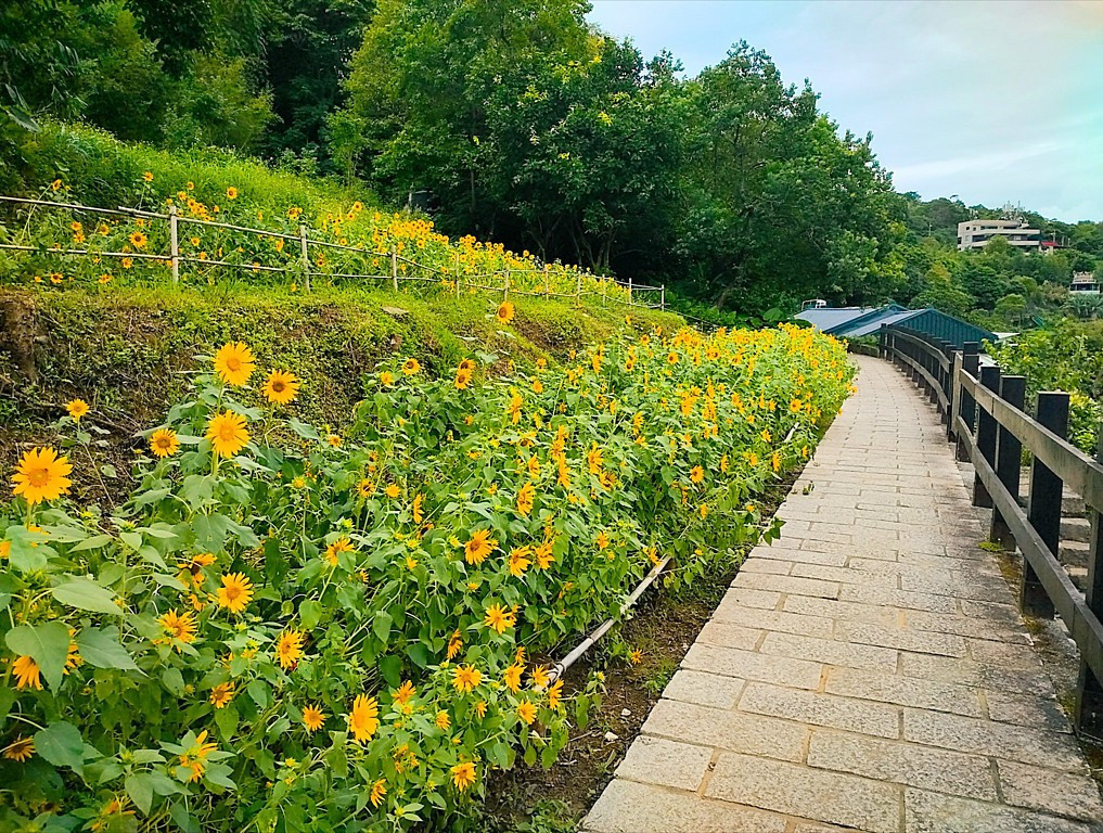 (圖/台北市府工務局大地工程處)