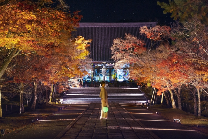 京都今秋必玩!NAKED GARDEN ONE KYOTO 2023 紅葉藝術共舞