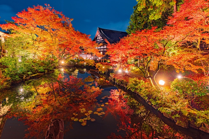 京都今秋必玩!NAKED GARDEN ONE KYOTO 2023 紅葉藝術共舞
