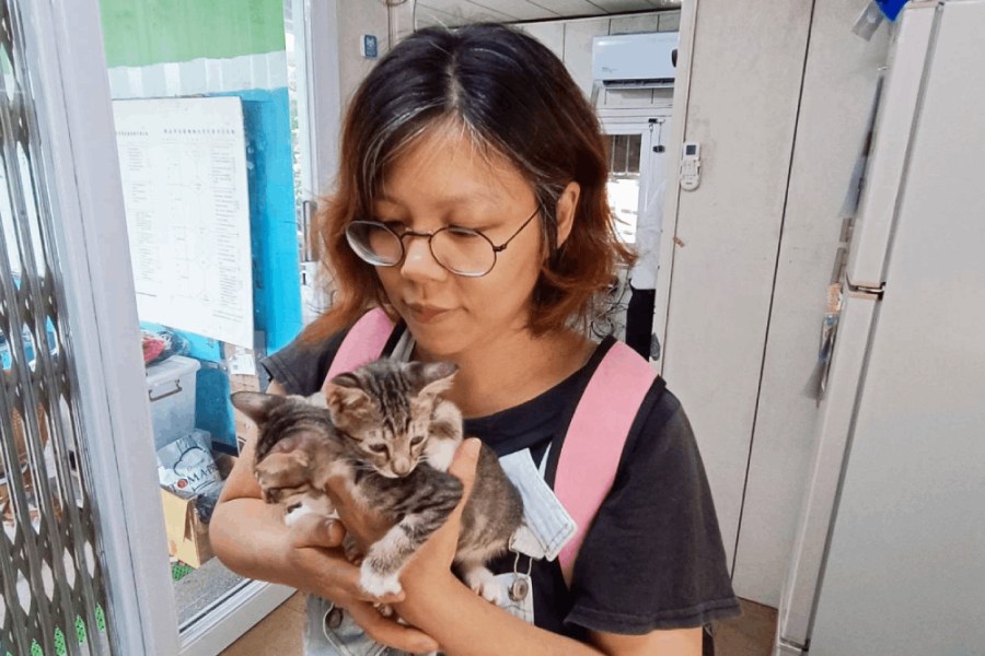 活用養肉雞經驗 新北動科系愛媽成功飼育3隻奶貓 223 照片來源:新北市政府動物保護防疫處