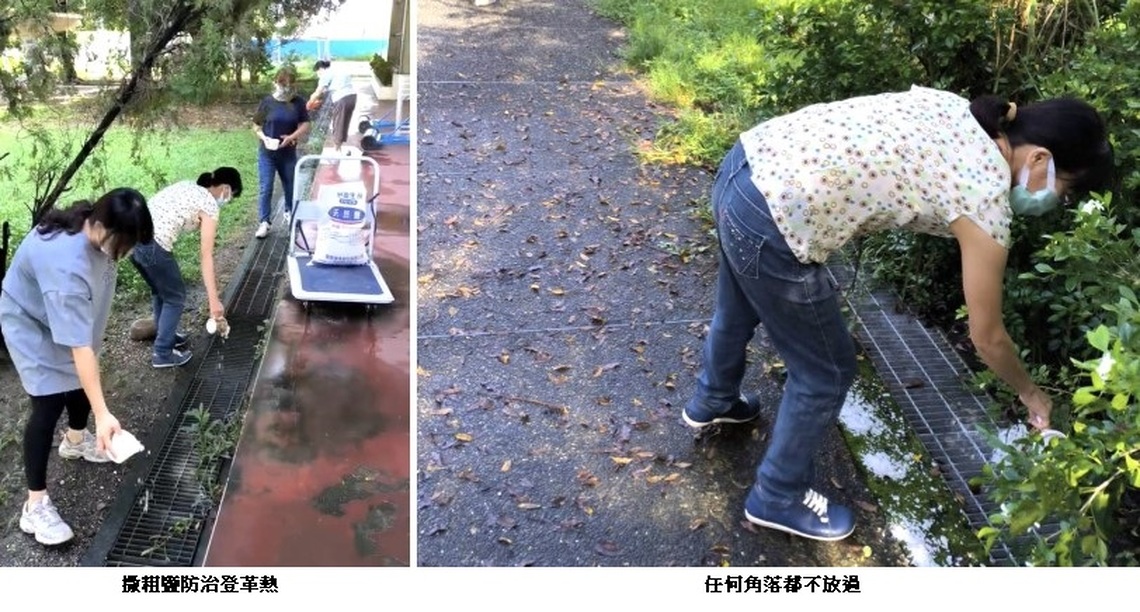 後勁國中教職員 校園灑粗鹽防登革熱