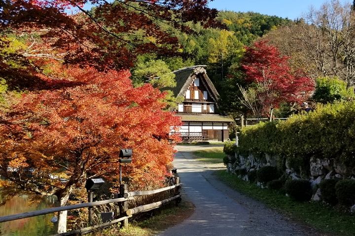 日本飛驒高山必吃新美食!「猴寶寶冰棒」可愛無法擋