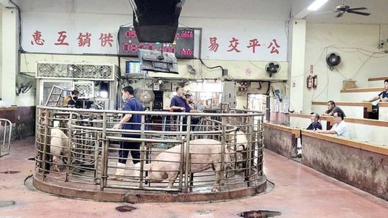 彰化縣肉品市場電腦遭駭，致拍賣系統無法運作，損失至少2000萬。圖／引自彰化縣政府農業處臉書