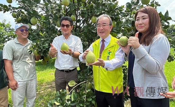 台灣文旦再度進軍日本市場 劉建國推廣到國際