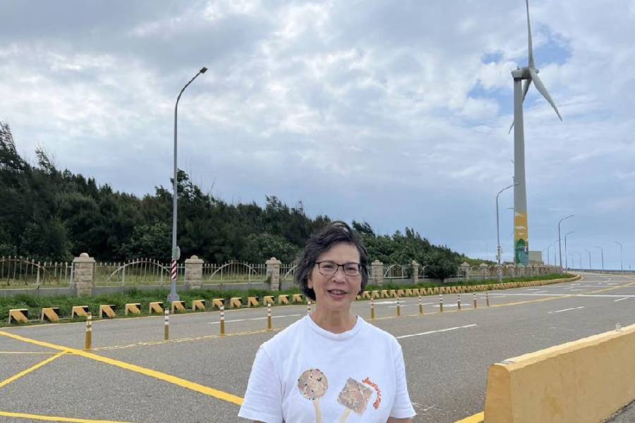 台中港砍防風林 又是陳吉仲 蔡壁如：海線風飛沙惡夢重現 191