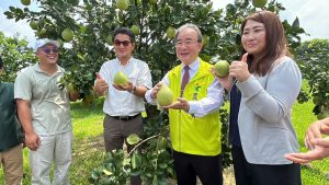 立委劉建國(左2)關心農民生計收益,隨同農糧署署長胡忠一(右2)視察文旦果園。(記者張艷君翻攝)