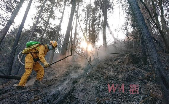 林火救災超前佈署 林業保育署南投分署辦理陸空吊掛訓練