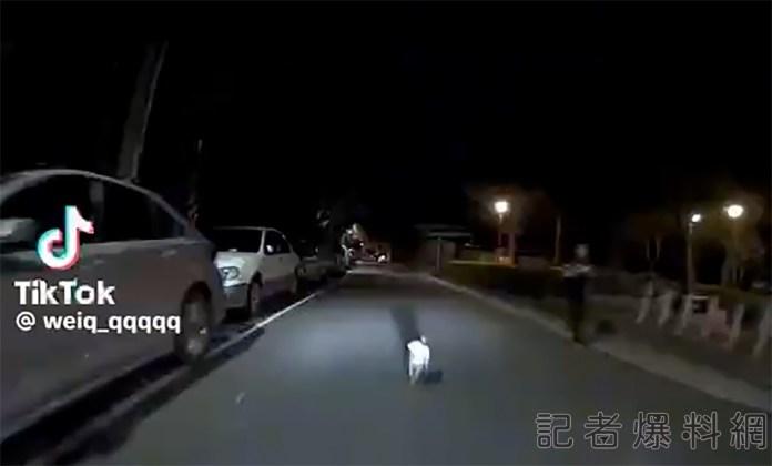 1 7 | 社會 社會 記者爆料網