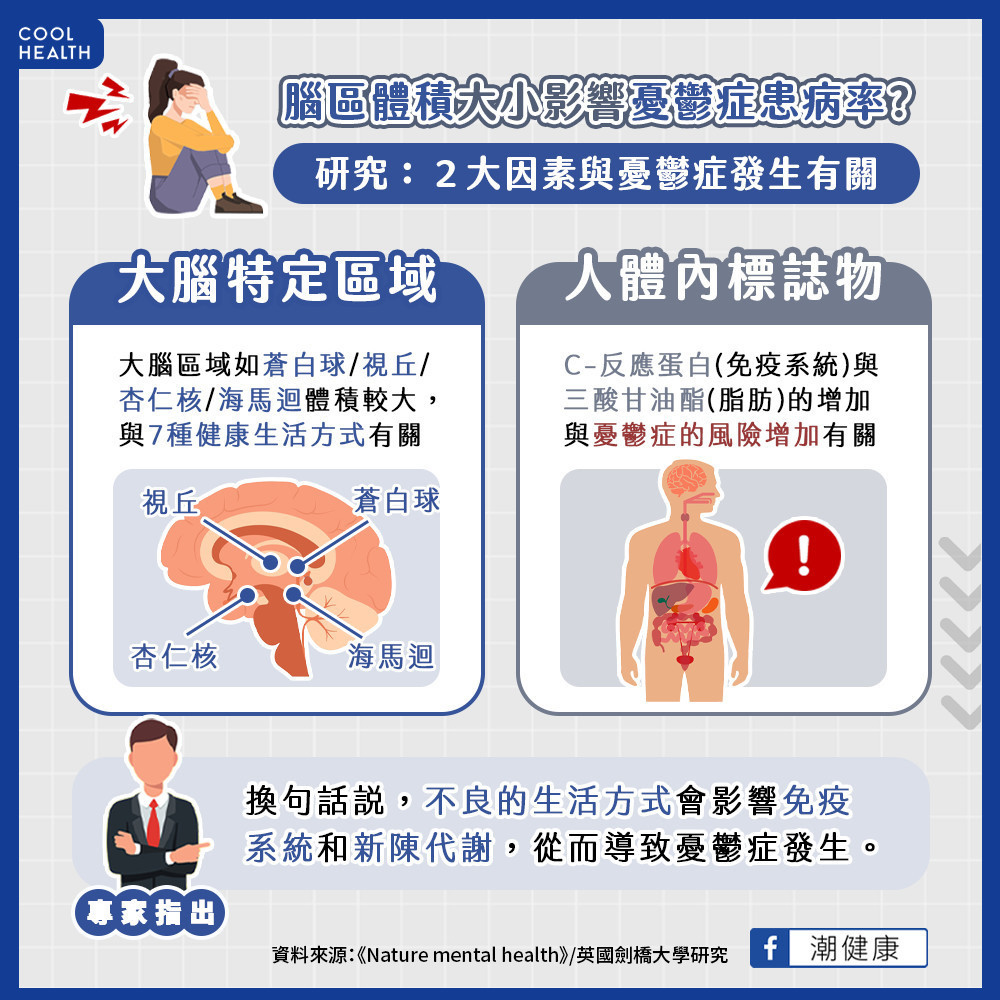 腦區體積大小影響憂鬱症患病率? 2大因素與憂鬱症發生有關 腦區體積大小影響憂鬱症患病率? 2大因素與憂鬱症發生有關