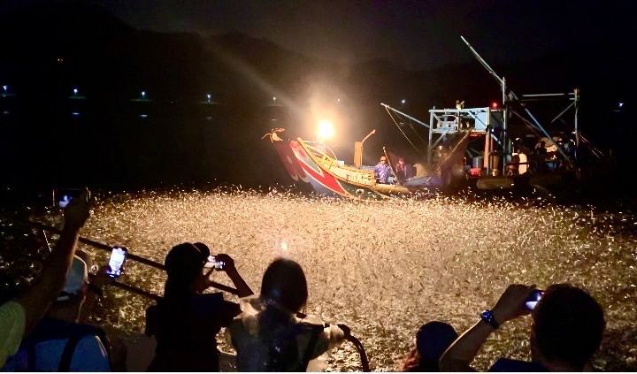 金山限定/體驗「蹦火仔」衝最後一波!
