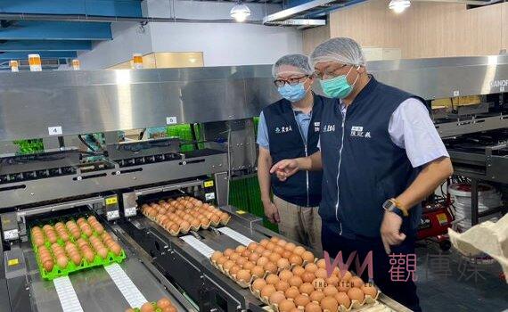桃園續查「混蛋」劍指進口蛋偽標國產 農業局7路稽查蛋雞場溯源