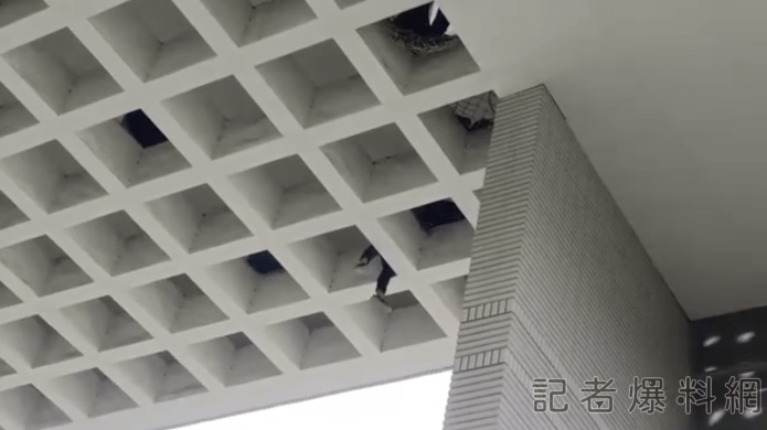工人踩破採光罩受3樓高困天井 體力不支墜落!驚險畫面曝光 69 2023 09 20 16.51.39 | 社會 社會 記者爆料網