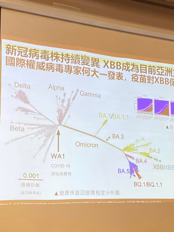 目前流行的變異株以XBB變異株病毒為主（記者黃楸玲／攝影）