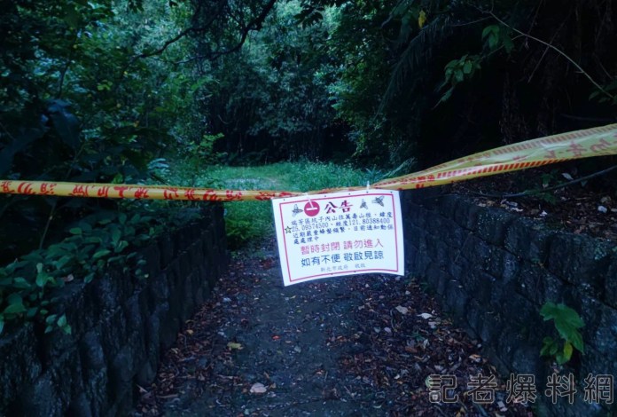 新北瑞芳虎頭蜂群螫死人 6處登山口封閉 60 1 45 | 社會 社會 記者爆料網