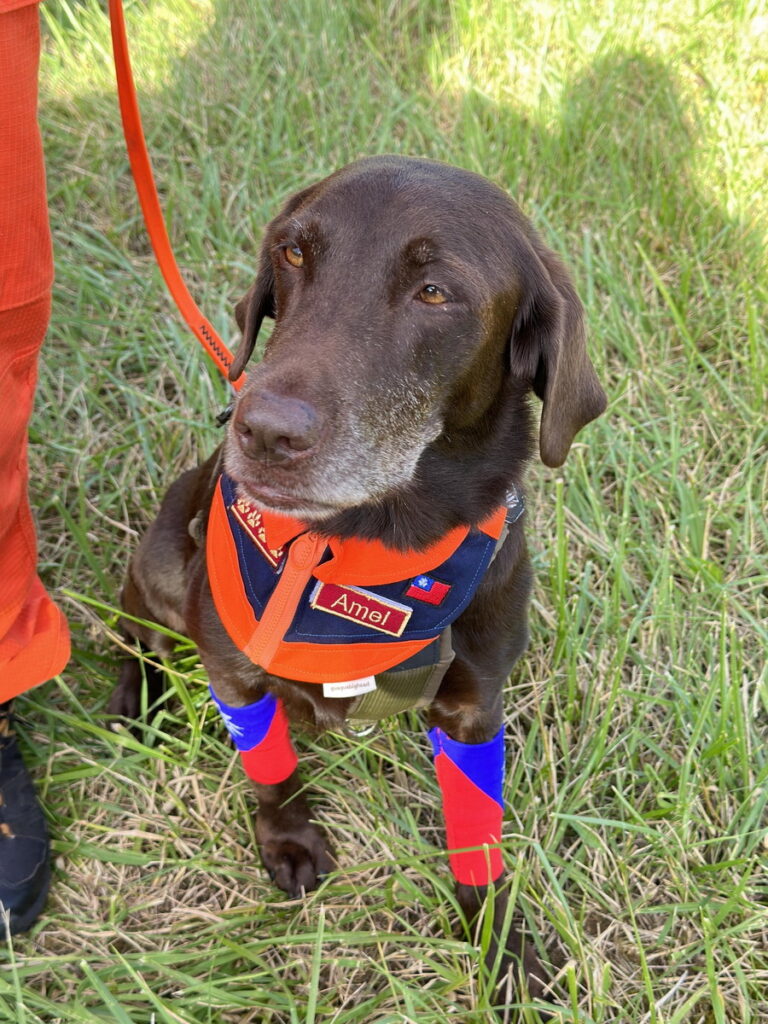 _台灣國旗在世界飄揚！搜救犬代表隊遠赴歐洲征戰世界盃