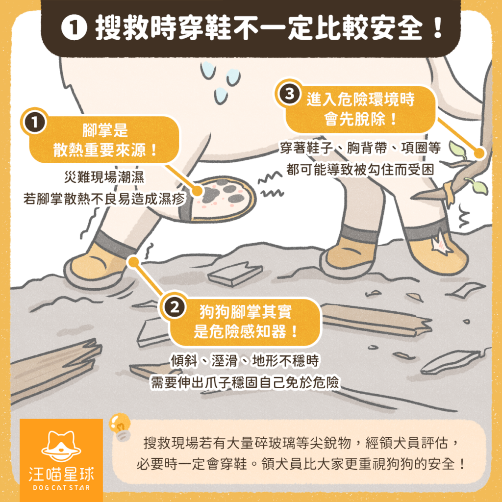 搜救犬冷知識