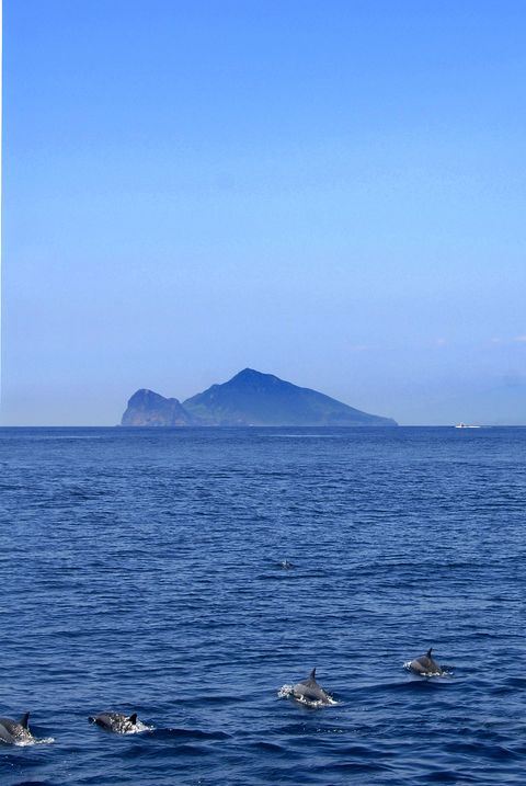 台灣好行/遊宜蘭登龜山島 樂齡「鯨」喜之旅