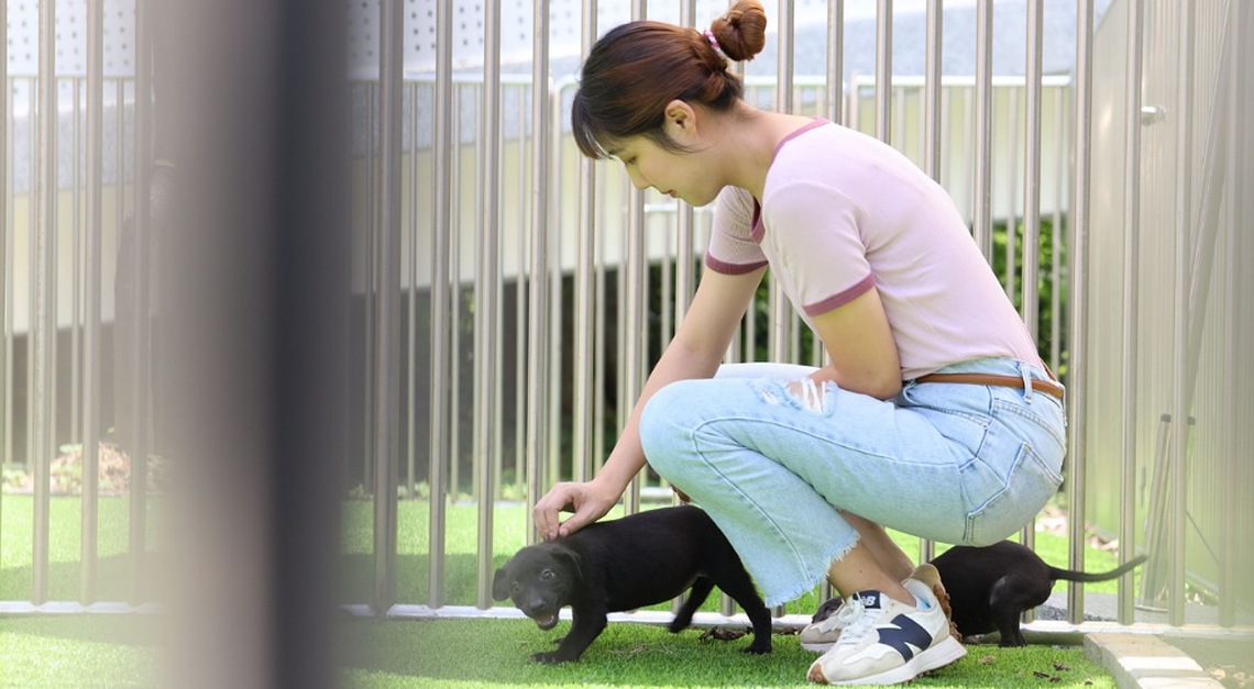 「新竹縣動物保護自治條例」審議通過 16條文包括寵物外出需加繩鍊