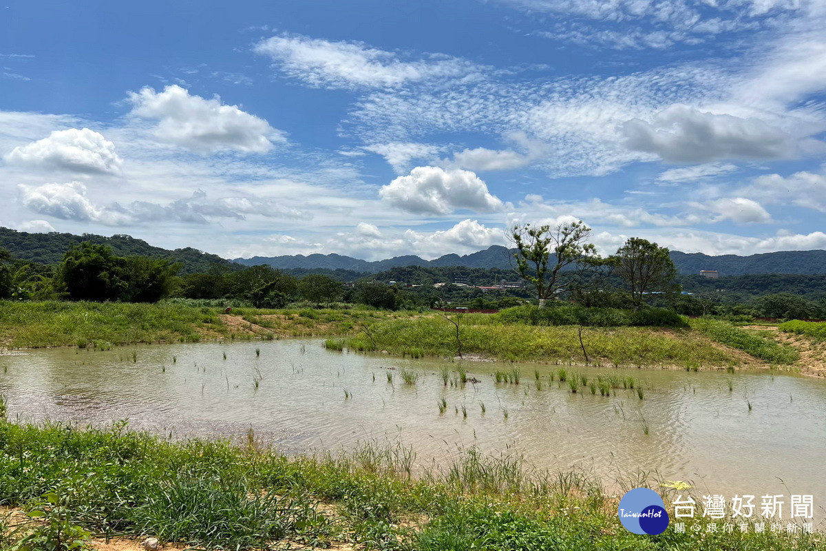 濕地內保留池中島並保護原有植栽。