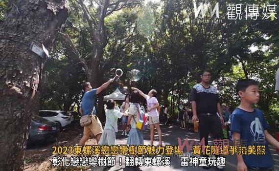 影／2023東螺溪戀戀欒樹節魅力登場　黃花隧道美照爭先拍
