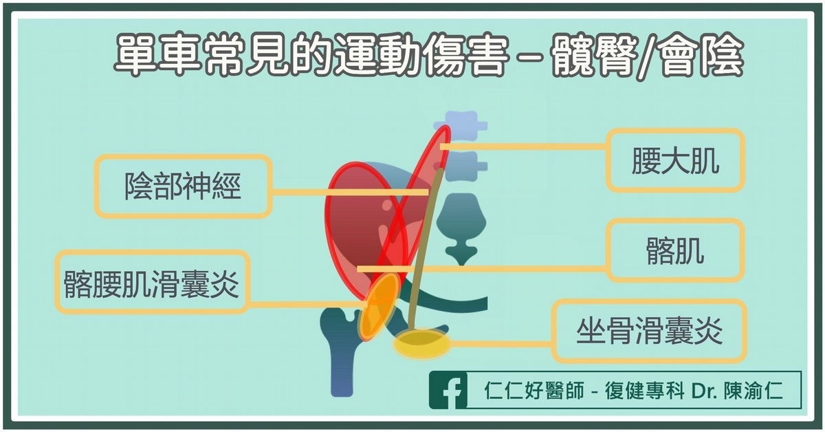 單車運動傷害3:髖臀、會陰