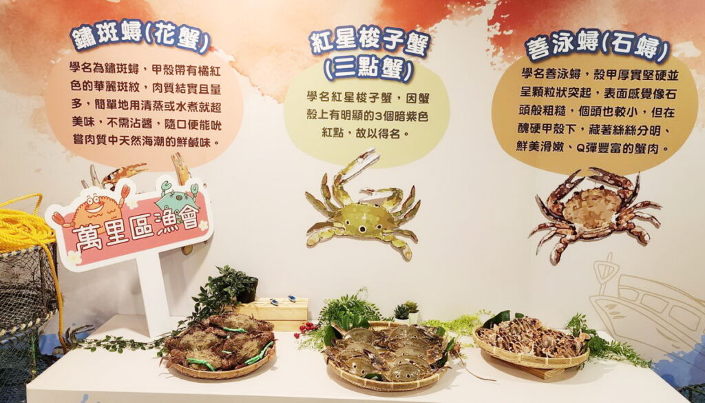 萬里蟹產季記者會,邀請民眾一同前往新北最好吃又好玩的北海岸遊玩