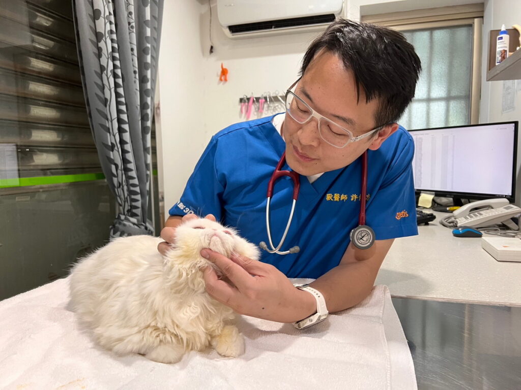 興沛動物醫院許傳忠院長表示，中秋節過後，前來就診的犬貓約提升約 10-20%，很可能與飼主不當餵食有關。（圖片提供：興沛動物醫院）