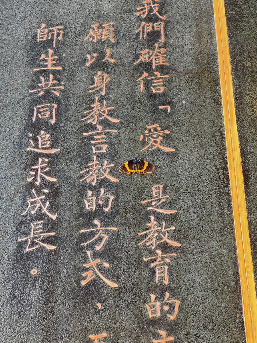 鐫刻在懷恩樓上的中原大學教育理念,在『愛』字旁停著一隻橙帶藍尺蛾。(吳宗遠拍攝)