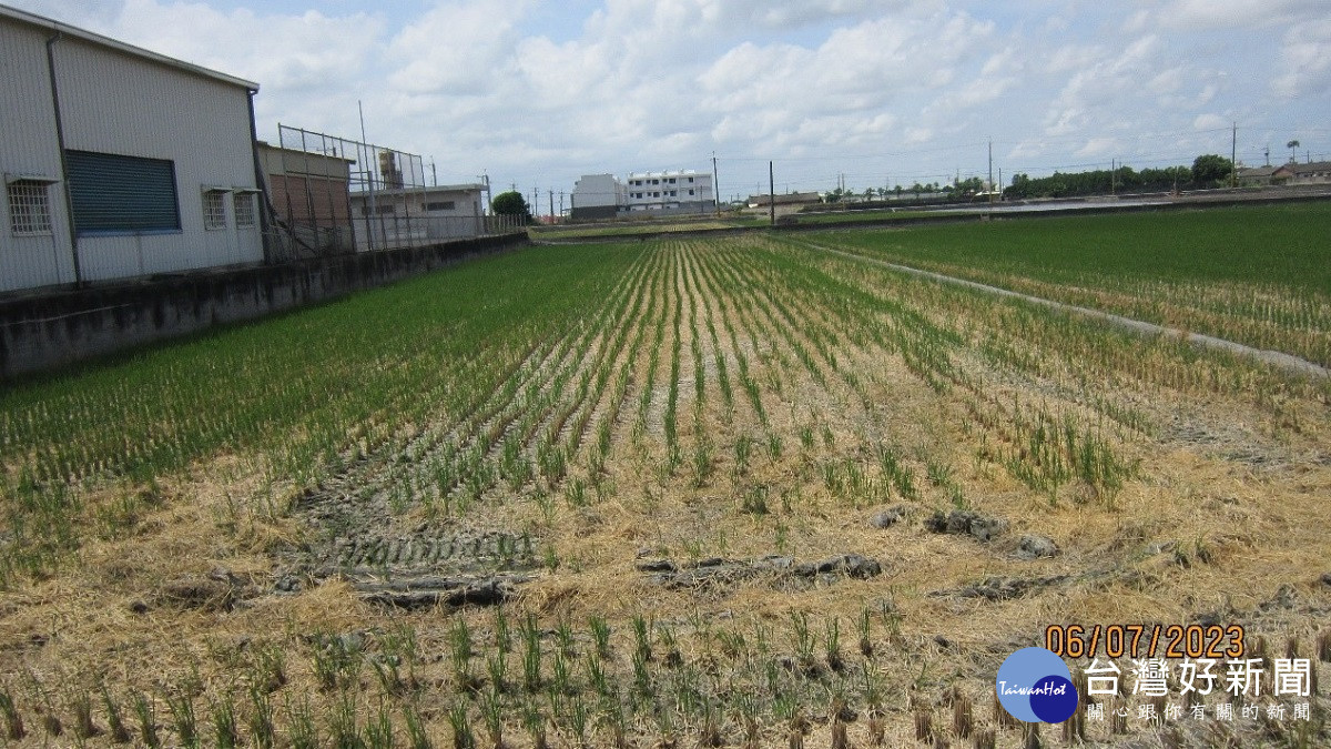 彰化分署卦山法拍市集開賣囉 10/3日邀請大家一起做伙逛市集,搶好康