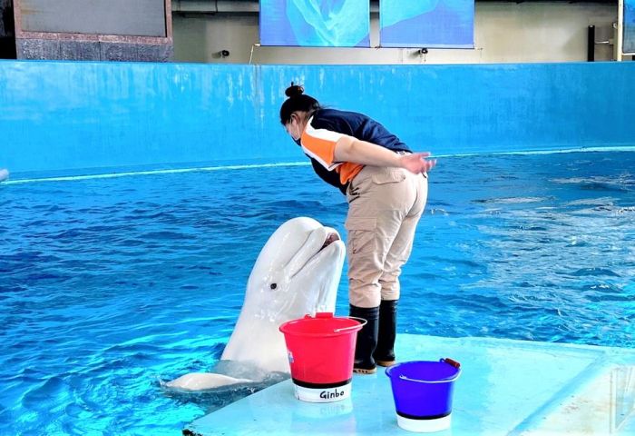 屏東海生館海洋老師與飼育員 心路歷程大公開
