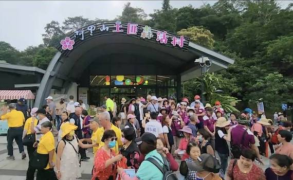 阿里山公路旁有土匪山　會與國鳥藍腹鷴不期而遇