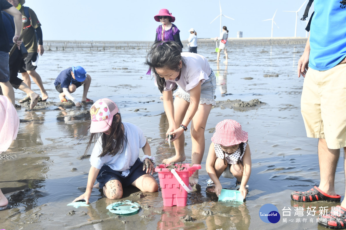 縣長王惠美參加線西一畝海的小旅行,與民眾體驗挖蛤蠣的樂趣。圖/記者鄧富珍翻攝